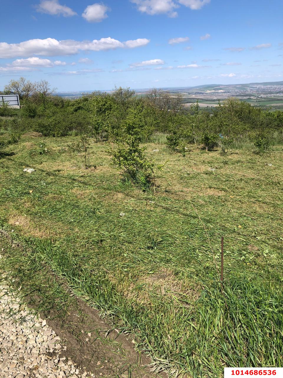 Фото №7: Участок садоводство 6 сот. - Верхнебаканский, ул. Ленина