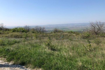 Фото №3: Участок садоводство 6 сот. - Верхнебаканский, ул. Ленина