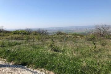 Фото №3: Земельный участок 6 сот. - Верхнебаканский, ул. Ленина