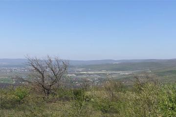 Фото №4: Земельный участок 6 сот. - Верхнебаканский, ул. Ленина