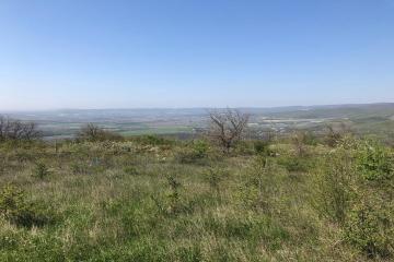 Фото №3: Земельный участок 6 сот. - Верхнебаканский, ул. Ленина