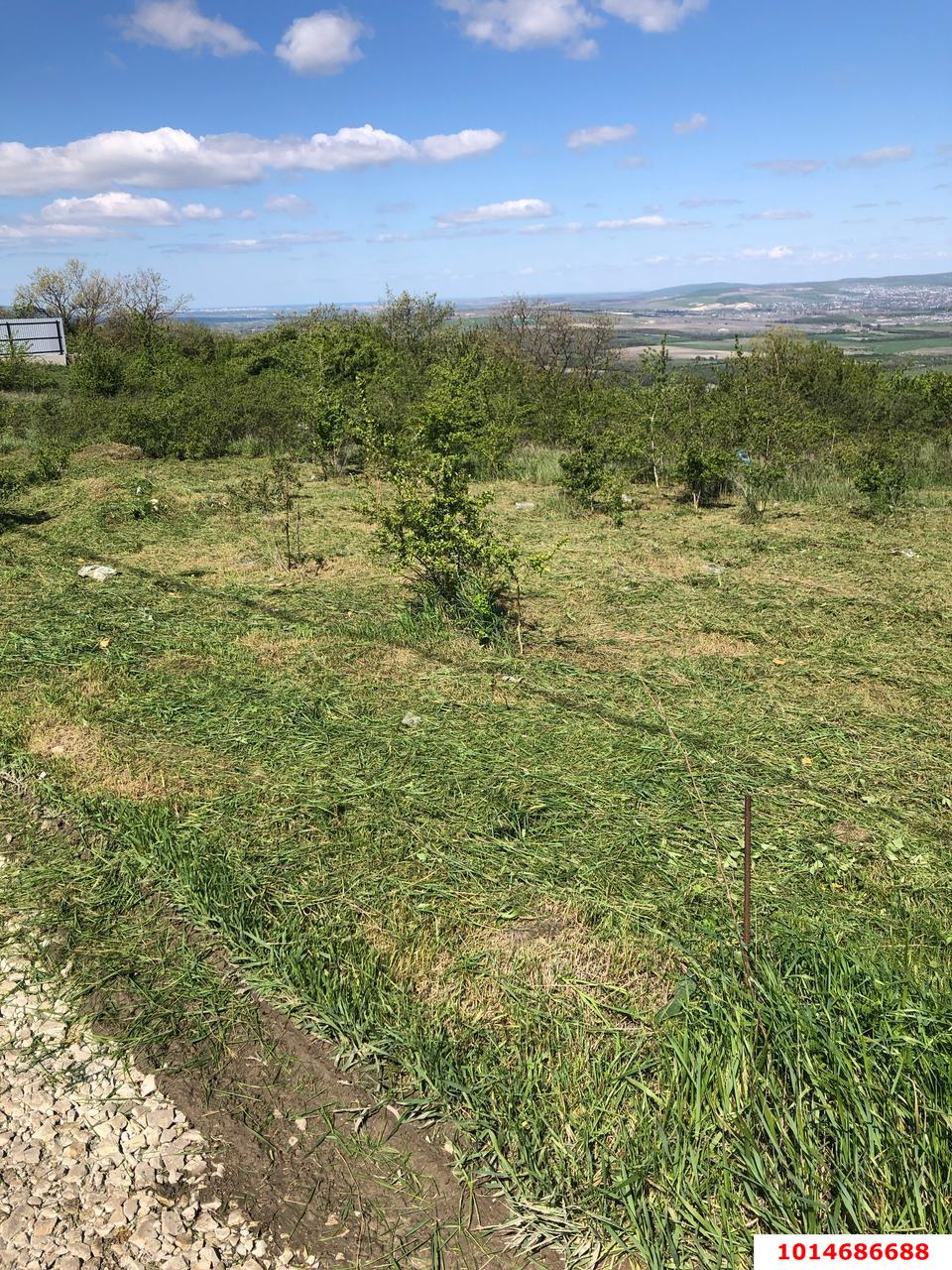 Фото №8: Участок садоводство 6 сот. - Верхнебаканский, ул. Ленина