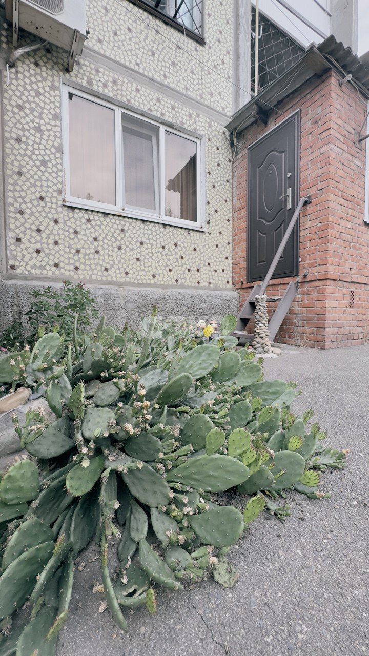Фото №21: 3-комнатная квартира 83 м² - Кореновск, 1-й квартал, ул. Фрунзе, 205