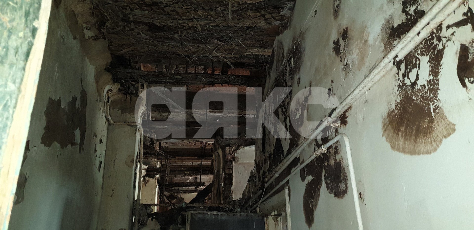 Фото №15: Коммерция 762 м² - Ростов-на-Дону, Ленинский, ул. Большая Садовая, 13/33