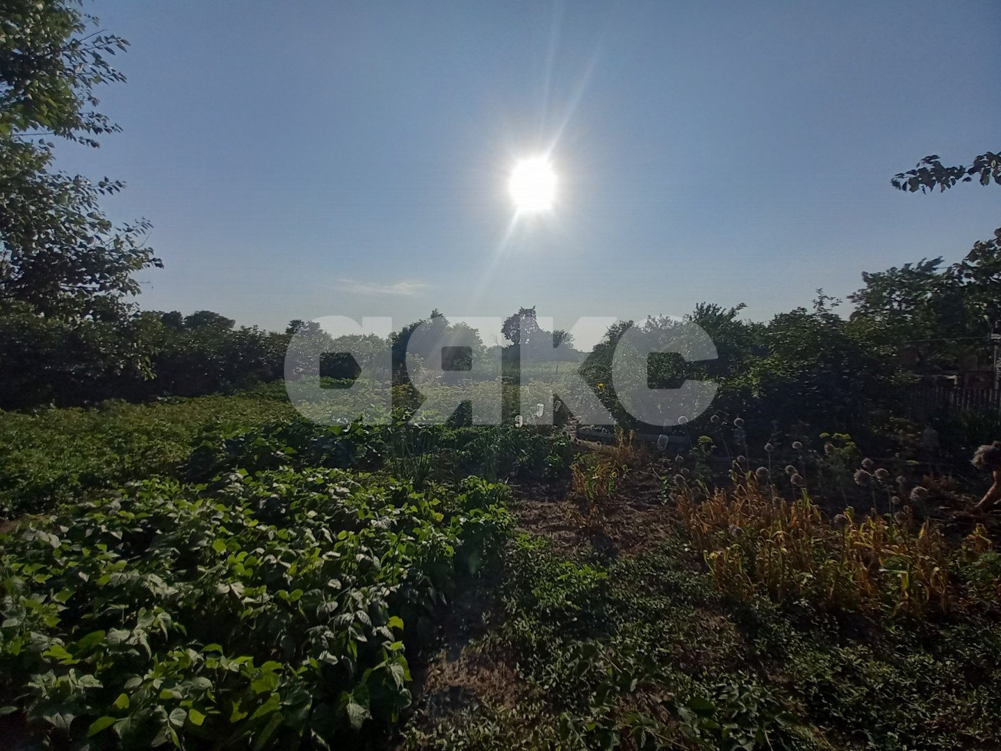 Фото №4: Личное подсобное хозяйство 6 сот. - Курчанская, ул. Набережная, 323