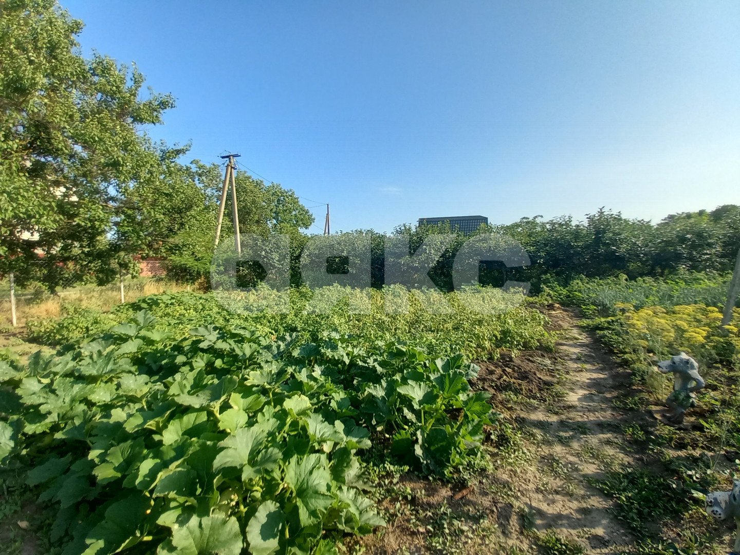 Фото №8: Личное подсобное хозяйство 6 сот. - Курчанская, ул. Набережная, 323