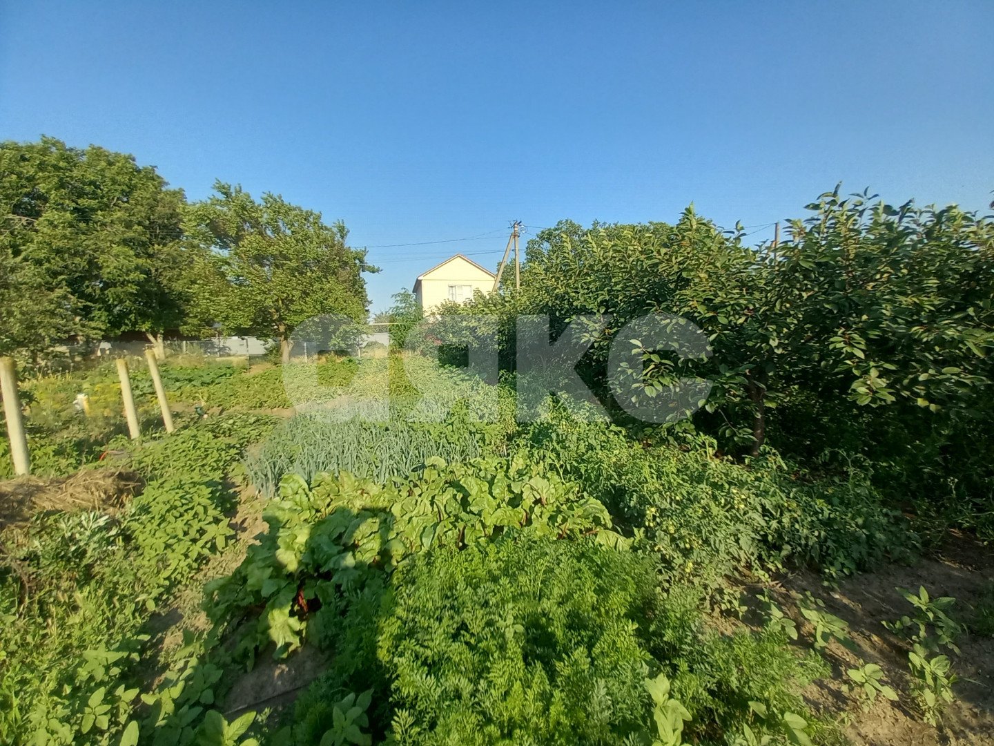 Фото №11: Личное подсобное хозяйство 6 сот. - Курчанская, ул. Набережная, 323