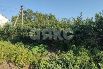 Фото №5: Личное подсобное хозяйство - Курчанская, ул. Энгельса, 32