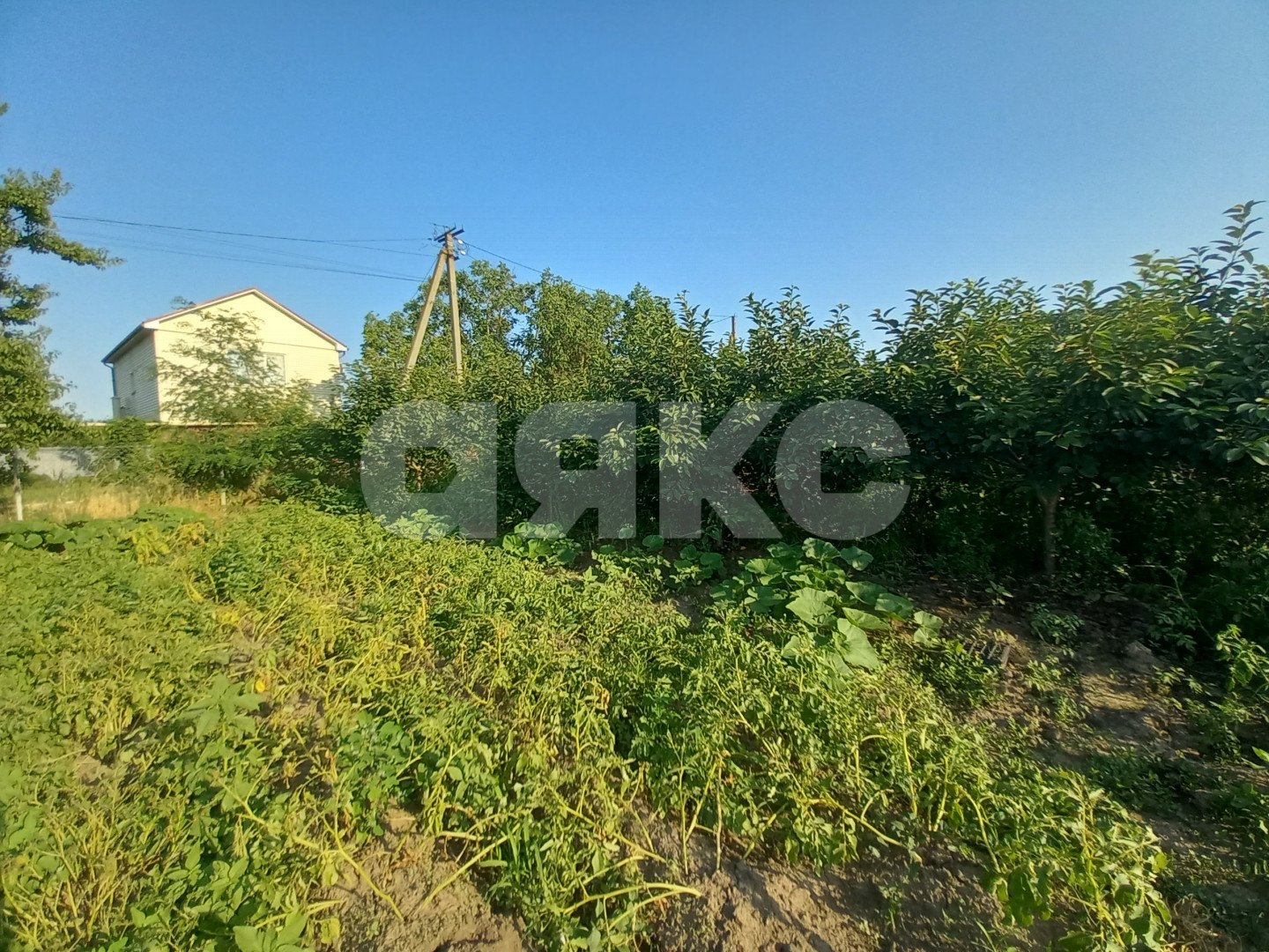 Фото №10: Личное подсобное хозяйство 6 сот. - Курчанская, ул. Набережная, 323