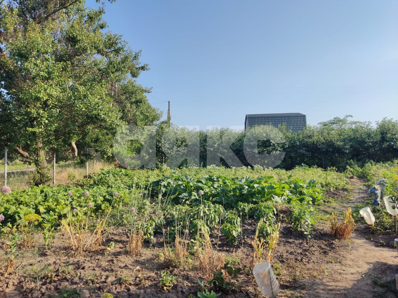 Фото №6: Личное подсобное хозяйство 6 сот. - Курчанская, ул. Набережная, 323