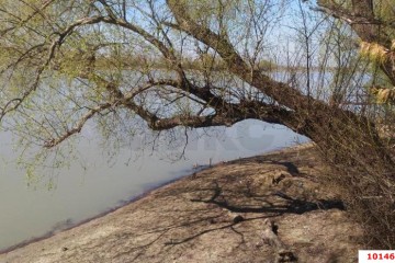 Фото №5: Участок садоводство 6 сот. - Елизаветинская, ст Речник, ул. Рындовая, 739