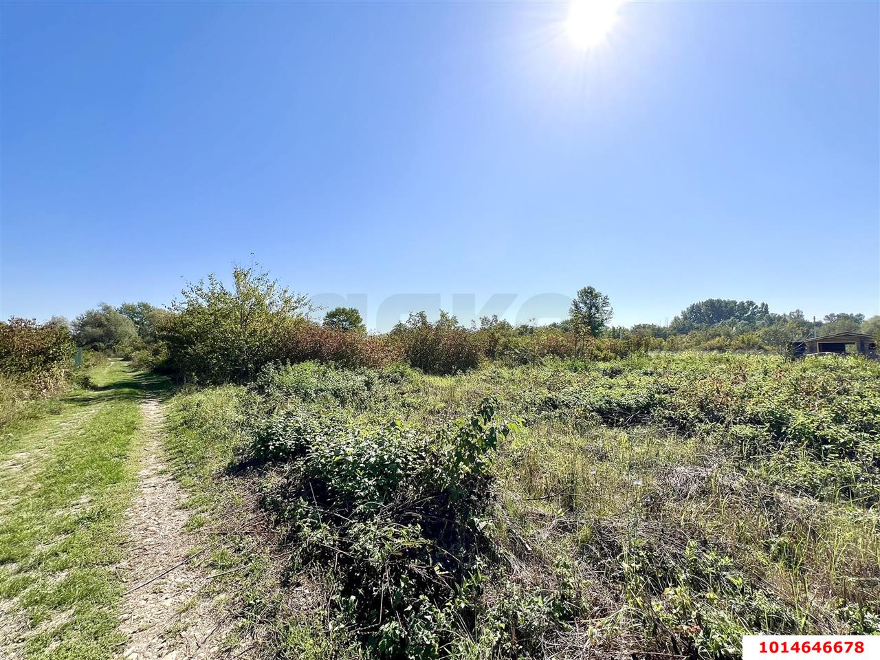 Фото №6: Земельный участок 6 сот. - Елизаветинская, ул. Рындовая, 739