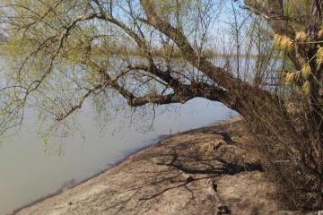 Фото №5: Земельный участок 6 сот. - Елизаветинская, ст Речник, ул. Рындовая, 739