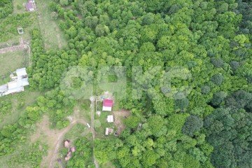 Фото №3: Личное подсобное хозяйство - Хамышки, ул. Колхозная