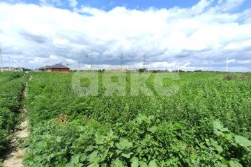 Фото №4: Земельный участок под ИЖС - Кореновск, мкр. 3-й квартал, ул. Андрейчука