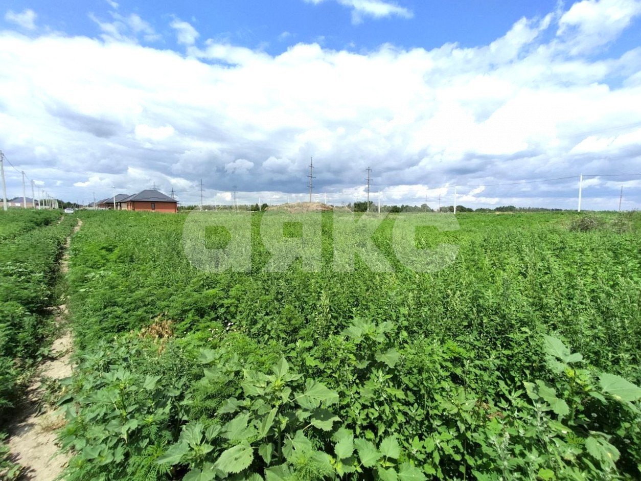 Фото №4: Земельный участок под ИЖС 5.5 сот. - Кореновск, 3-й квартал, ул. Андрейчука