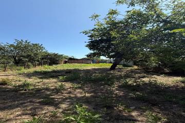 Фото №3: Дом 57 м² - Краснодар, мкр. Центральный, ул. Володи Головатого, 419