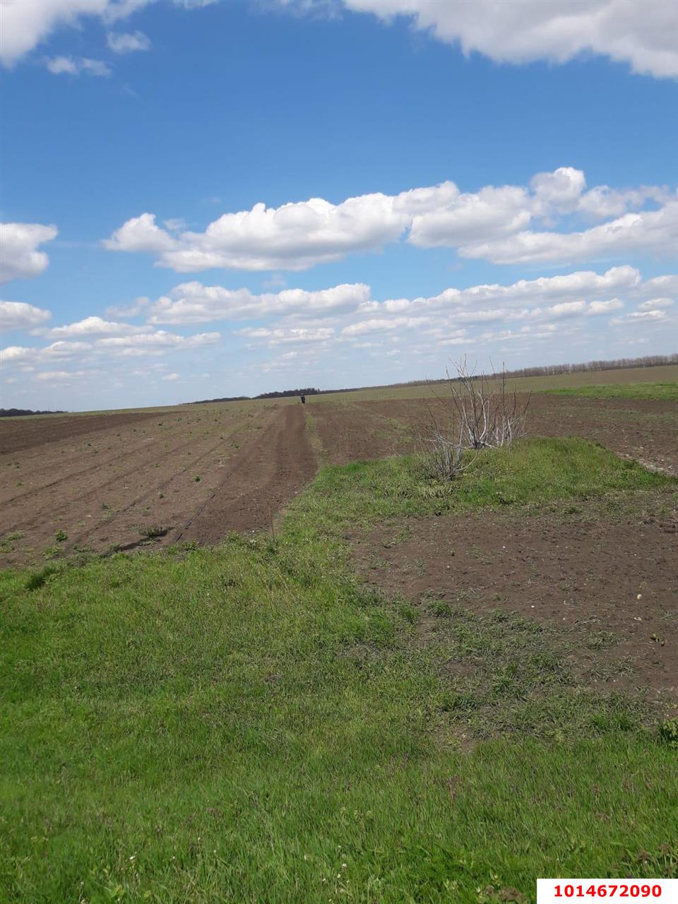 Фото №1: Земельный участок под ИЖС 25.3 сот. - Раздольная