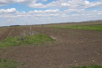 Фото №2: Земельный участок под ИЖС 25.3 сот. - Раздольная, 