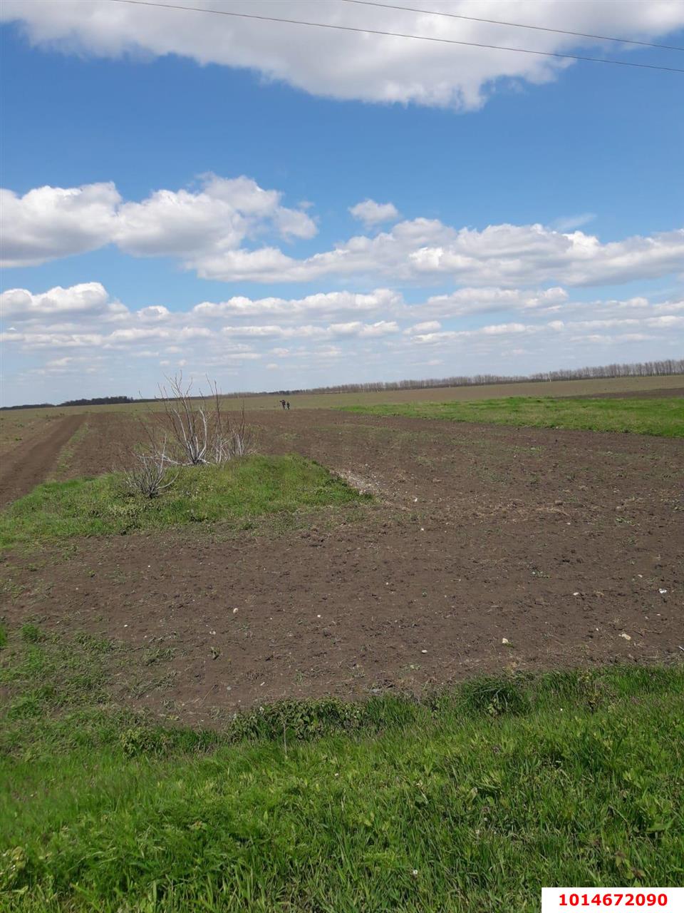 Фото №2: Земельный участок под ИЖС 25.3 сот. - Раздольная