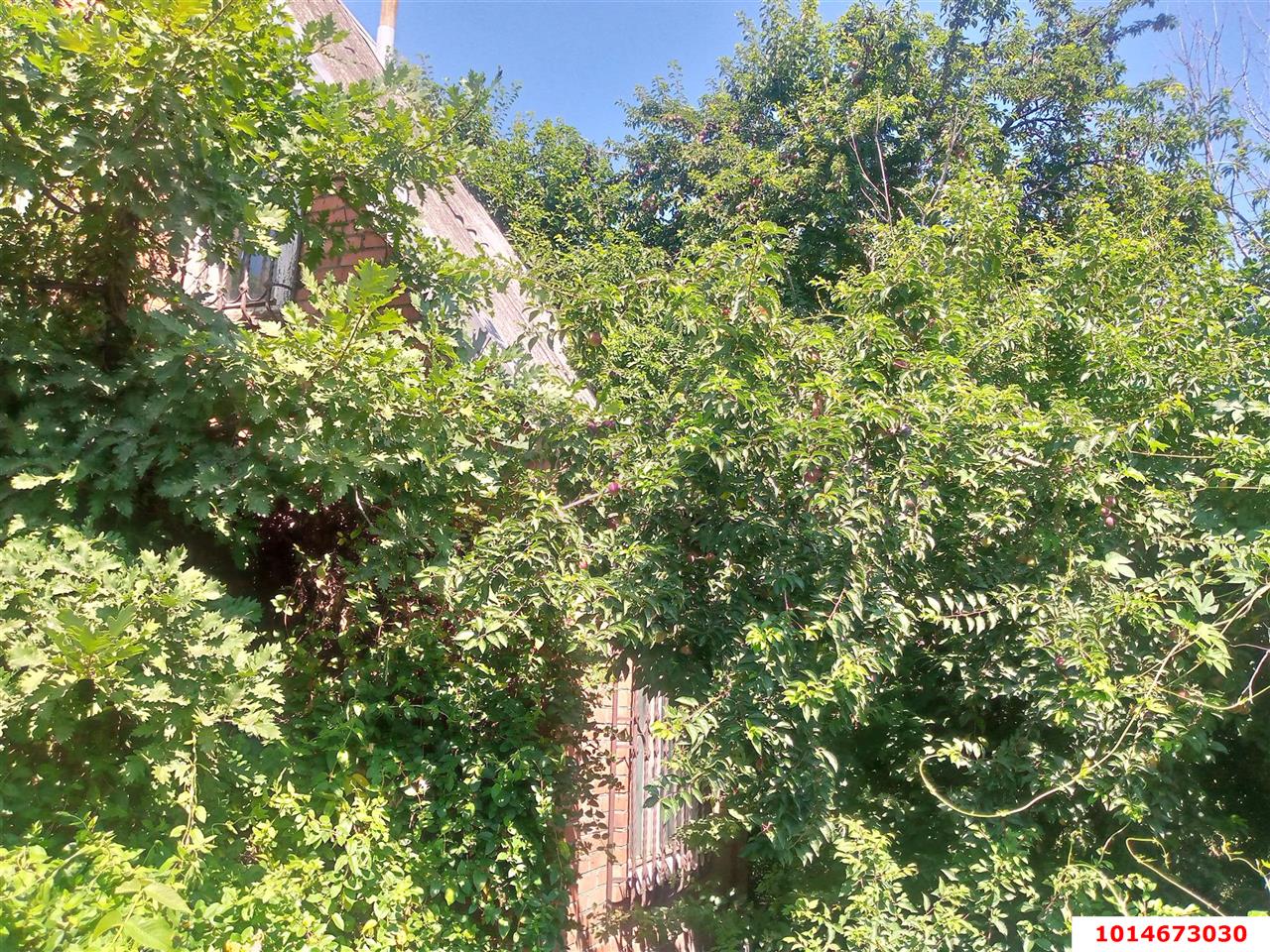 Фото №4: Участок садоводство 6 сот. - Энергетик, Прикубанский внутригородской округ, ул. Кубанская, 57