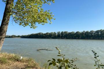 Фото №4: Земельный участок 6 сот. - Берег Кубани ВНИИ риса, мкр. Прикубанский внутригородской округ, ул. Цветочная, 243