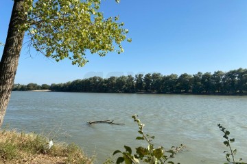 Фото №4: Участок садоводство 6 сот. - Берег Кубани ВНИИ риса, мкр. Прикубанский внутригородской округ, ул. Цветочная, 243