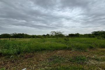 Фото №1: Земельный участок 6 сот. - Берег Кубани ВНИИ риса, мкр. Прикубанский внутригородской округ, ул. Цветочная, 243