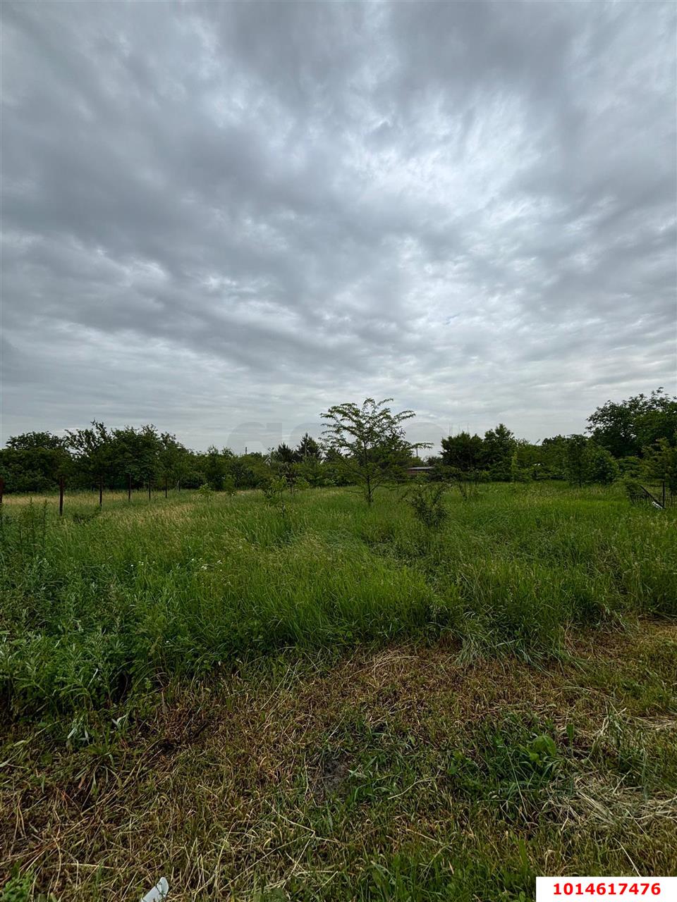 Фото №1: Земельный участок 6 сот. - Берег Кубани ВНИИ риса, мкр. Прикубанский внутригородской округ, ул. Цветочная, 243