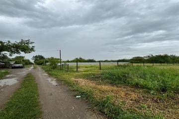 Фото №2: Земельный участок 6 сот. - Берег Кубани ВНИИ риса, мкр. Прикубанский внутригородской округ, ул. Цветочная, 243