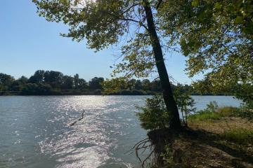 Фото №3: Земельный участок 6 сот. - Берег Кубани ВНИИ риса, мкр. Прикубанский внутригородской округ, ул. Цветочная, 243