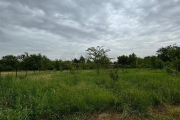 Фото №3: Участок садоводство 11.35 сот. - Берег Кубани ВНИИ риса, мкр. Прикубанский внутригородской округ, ул. Цветочная, 244