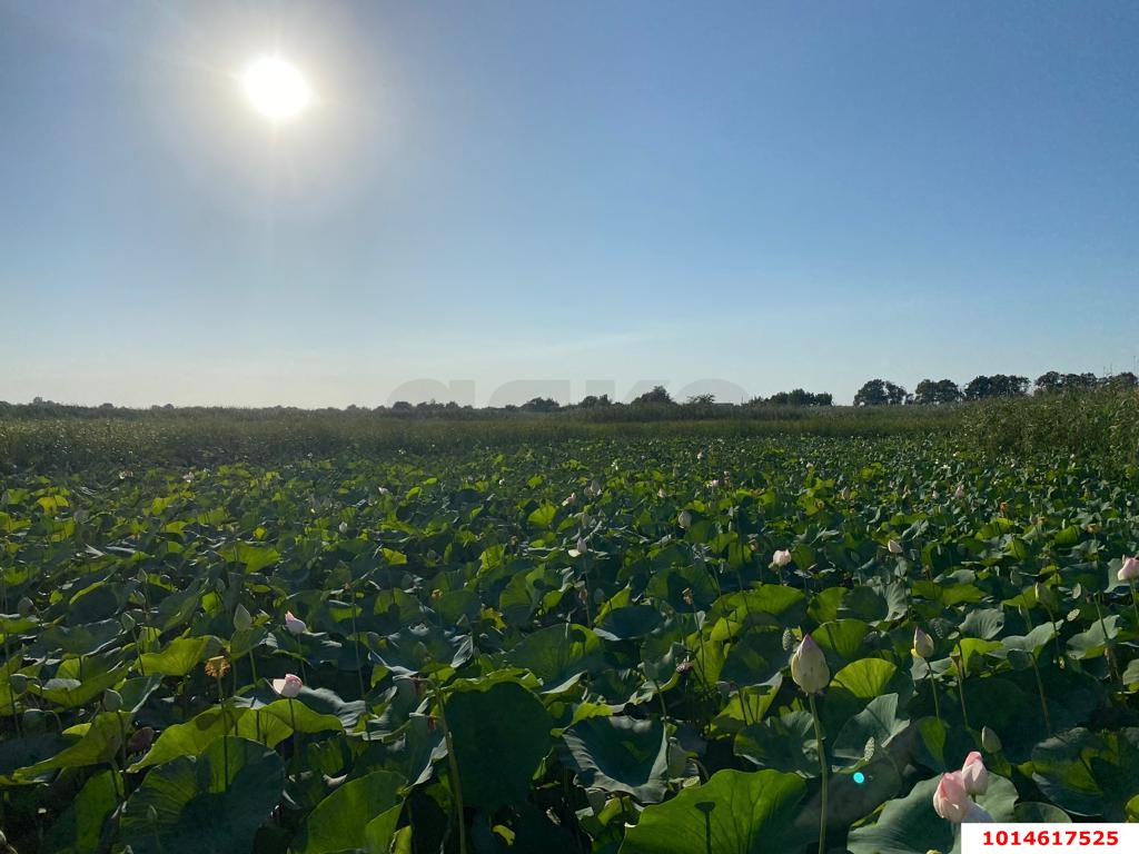 Фото №6: Земельный участок 11.35 сот. - Берег Кубани ВНИИ риса, мкр. Прикубанский внутригородской округ, ул. Цветочная, 244