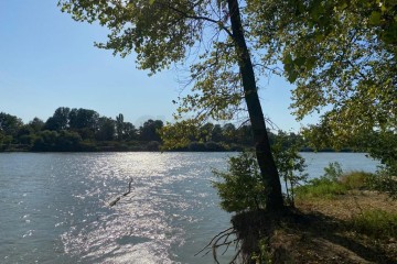 Фото №4: Участок садоводство 11.35 сот. - Берег Кубани ВНИИ риса, мкр. Прикубанский внутригородской округ, ул. Цветочная, 244