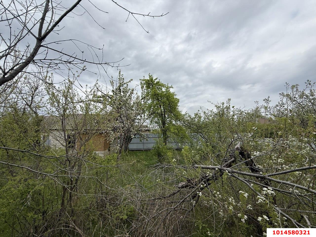 Фото №3: Участок садоводство 8.2 сот. - Краснодар, Дружба-1, 268