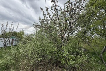 Фото №1: Земельный участок под ИЖС 8.2 сот. - Краснодар, ст Дружба-1, 268