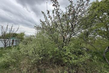 Фото №1: Земельный участок 8.2 сот. - Краснодар, ст Дружба-1, 268