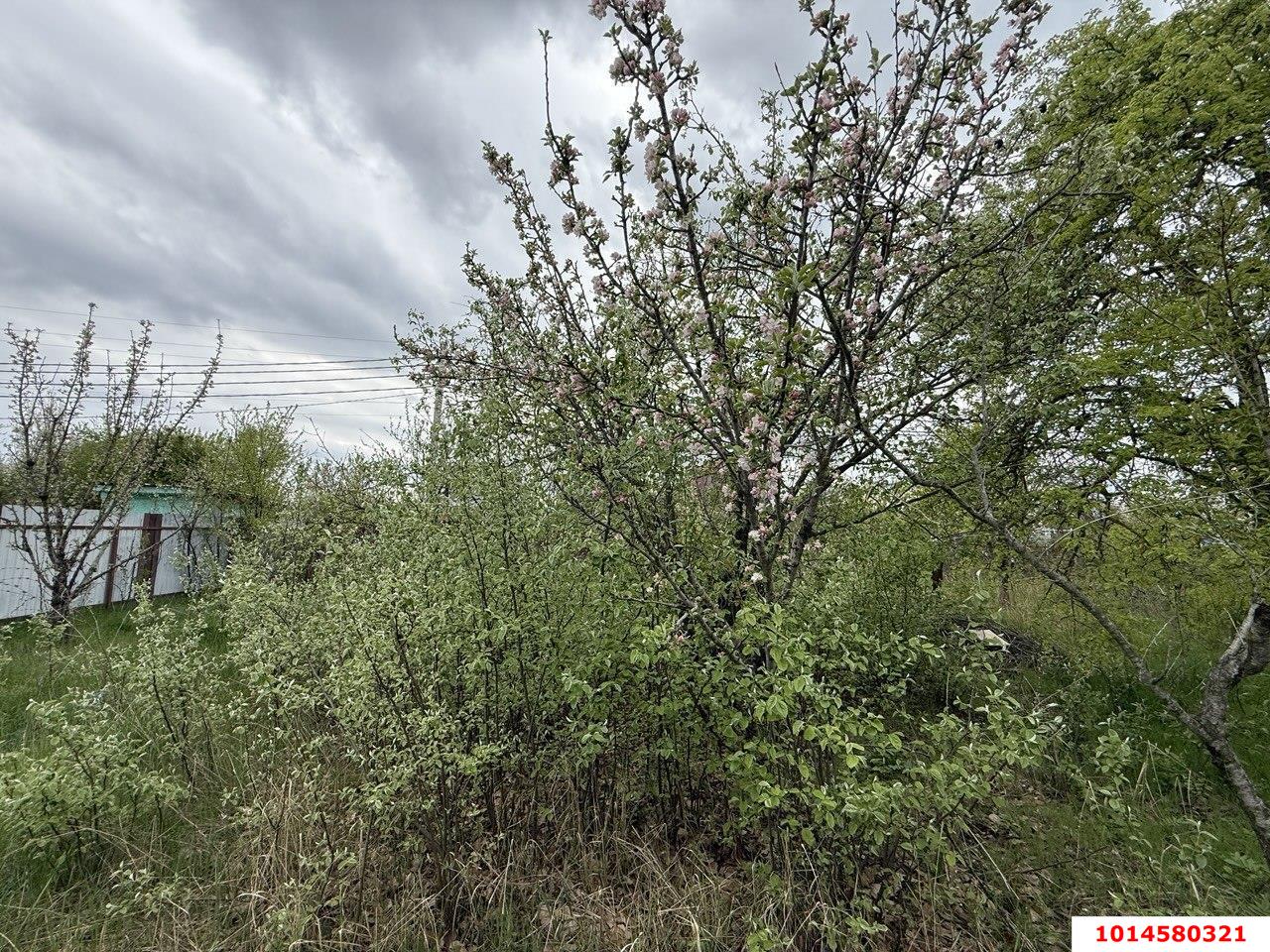 Фото №1: Земельный участок 8.2 сот. - Краснодар, Прикубанский внутригородской округ, Сады Калинина, ст Дружба-1, 268