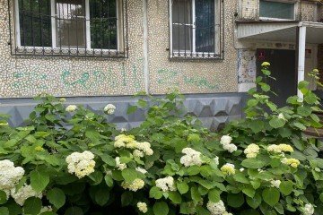 Фото №1: 3-комнатная квартира 62 м² - Краснодар, мкр. Гидростроителей, ул. Гидростроителей, 26