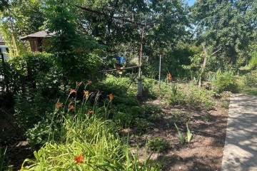 Фото №4: Дом 24 м² - Знаменский, мкр. СТ Рассвет, ул. Офицерская, 502