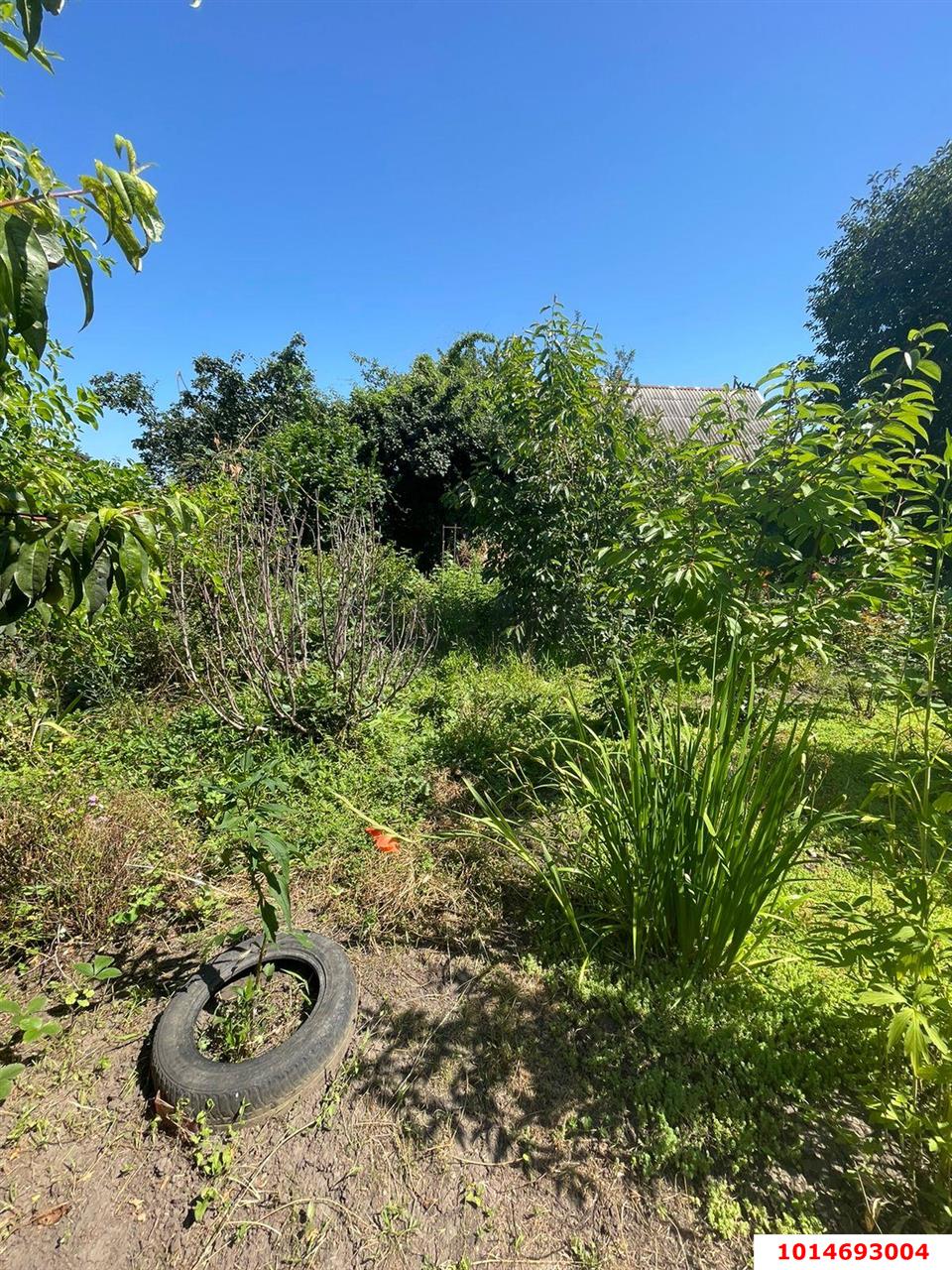 Фото №8: Дом 24 м² + 4 сот. - Знаменский, СТ Рассвет, ул. Офицерская, 502