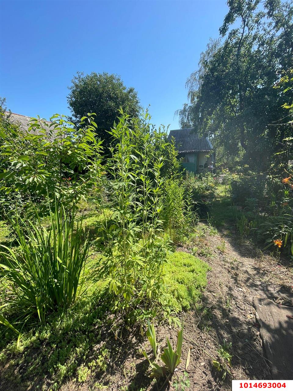 Фото №9: Дом 24 м² + 4 сот. - Знаменский, СТ Рассвет, ул. Офицерская, 502