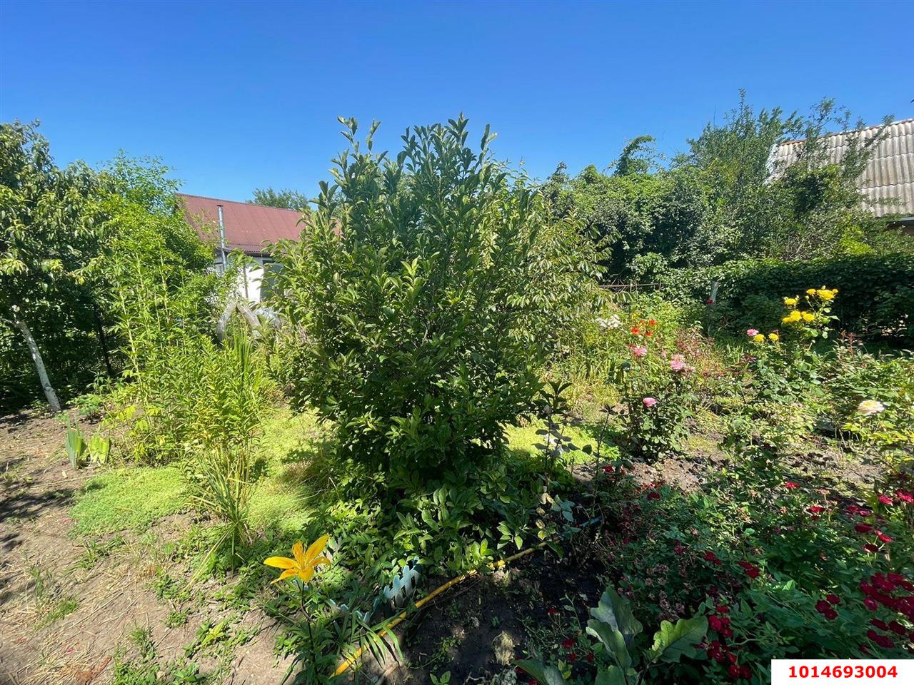 Фото №6: Дом 24 м² + 4 сот. - Знаменский, Карасунский внутригородской округ, мкр. СТ Рассвет, ул. Офицерская, 502