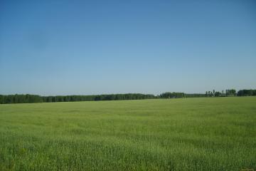 Фото №1: Земельный участок 6 сот. - Краснодар, мкр. Прикубанский внутригородской округ, ул. Спаниельская