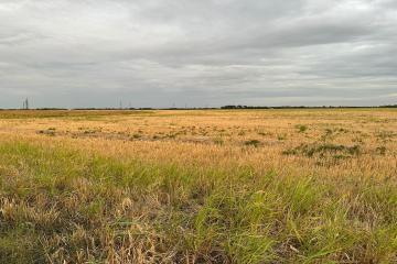 Фото №2: Земельный участок 6 сот. - Краснодар, мкр. Прикубанский внутригородской округ, ул. Спаниельская