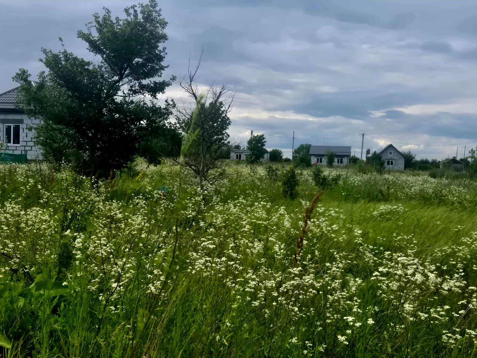 Фото №3: Коммерция 10 м² - Заря, ул. Грушевая, 12Б