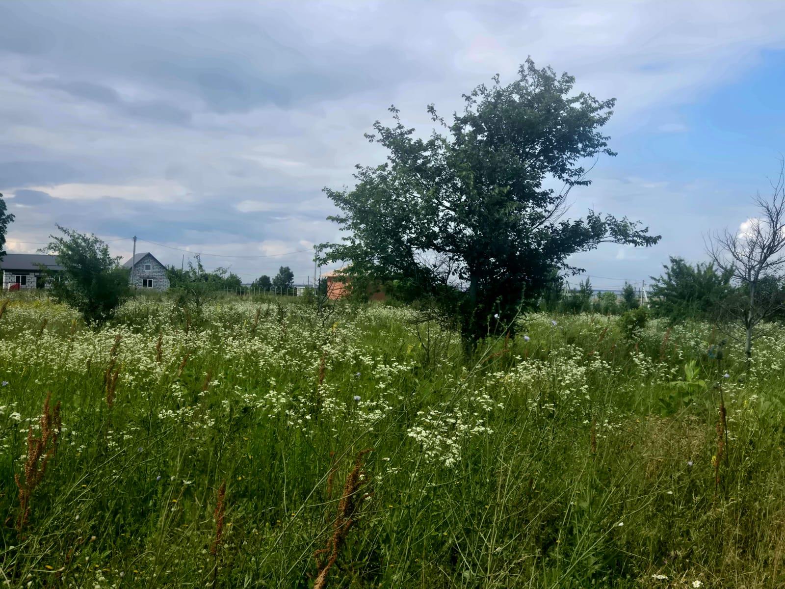 Фото №1: Коммерция 10 м² - Заря, ул. Грушевая, 12Б