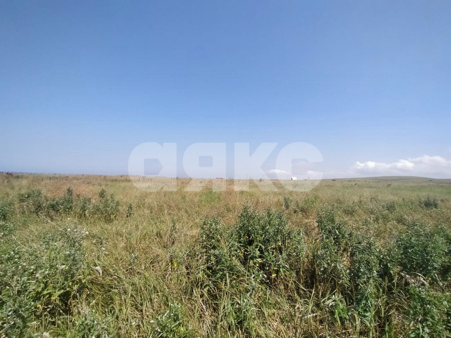 Фото №8: Земельный участок под ИЖС 600 сот. - Кучугуры, пер. Аграрный, 10
