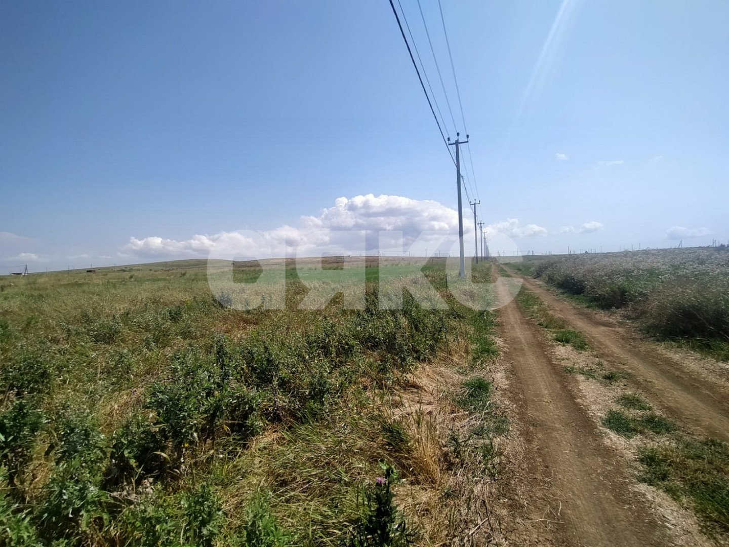 Фото №24: Земельный участок под ИЖС 600 сот. - Кучугуры, пер. Аграрный, 10