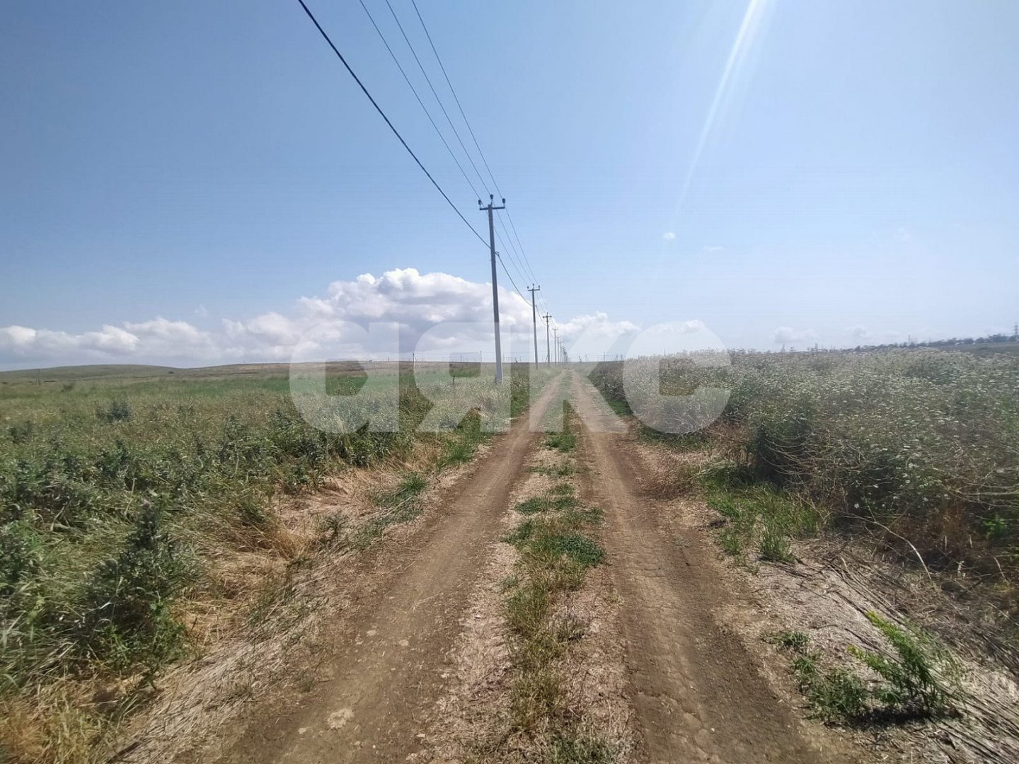 Фото №7: Земельный участок под ИЖС 600 сот. - Кучугуры, пер. Аграрный, 10